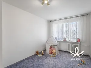Prodej bytu 3+1, Mladá Boleslav, Jana Palacha, 73 m2