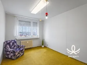 Prodej bytu 3+1, Mladá Boleslav, Jana Palacha, 73 m2
