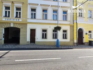 Prodej bytu 4+1, Teplice, U Hadích lázní, 105 m2
