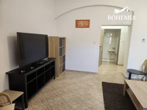 Prodej bytu 4+1, Teplice, U Hadích lázní, 105 m2