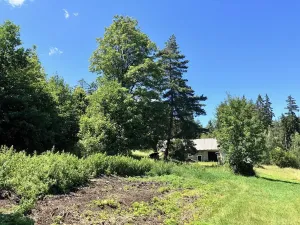 Prodej pozemku pro bydlení, Čkyně, 326 m2
