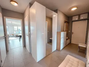 Pronájem bytu 3+kk, Praha - Žižkov, Olgy Havlové, 110 m2