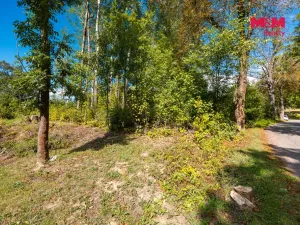 Prodej rodinného domu, Červená Voda, 50 m2