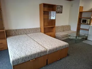 Pronájem bytu 1+kk, Brno, Viniční, 29 m2