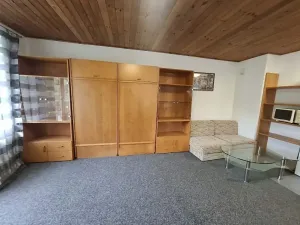 Pronájem bytu 1+kk, Brno, Viniční, 29 m2