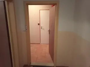 Prodej bytu 1+kk, Tanvald, Horská, 27 m2