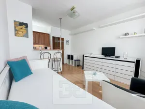 Pronájem bytu 1+kk, Praha - Záběhlice, Švehlova, 24 m2