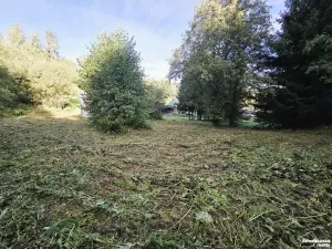 Prodej pozemku pro bydlení, Vysoké nad Jizerou, 1032 m2