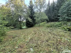 Prodej pozemku pro bydlení, Vysoké nad Jizerou, 1032 m2