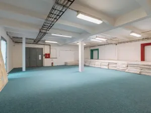 Prodej výrobních prostor, Ostrov, Krátká, 11439 m2
