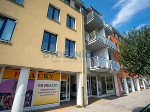 Prodej bytu 2+1, Písek, Čechova, 53 m2