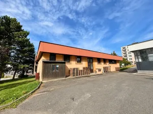 Prodej obchodního prostoru, Vamberk, Struha, 498 m2