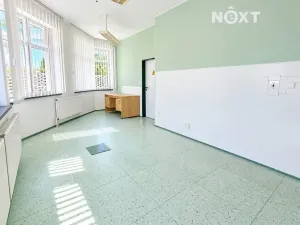 Pronájem ordinace, Hodonín, Seifertova, 77 m2