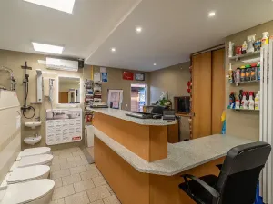 Prodej obchodního prostoru, Frýdlant nad Ostravicí, 310 m2