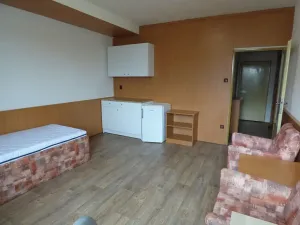 Pronájem bytu 1+kk, Brno, Heršpická, 23 m2