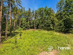 Prodej pozemku pro bydlení, Hluchov, 3150 m2