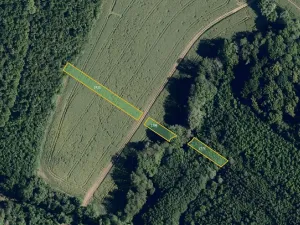 Prodej pole, Pačlavice, 13193 m2