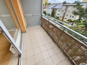 Prodej bytu 1+kk, Brno, Božetěchova, 21 m2