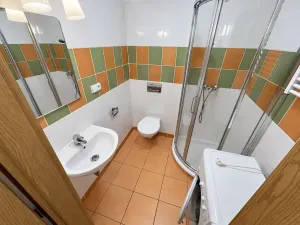 Prodej bytu 1+kk, Brno, Božetěchova, 21 m2
