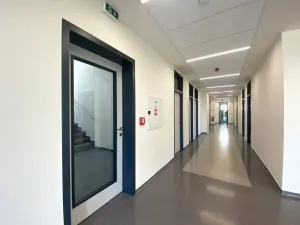 Pronájem kanceláře, Brno - Štýřice, Pražákova, 22 m2