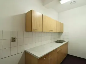 Pronájem výrobních prostor, Brno, Bohunická, 880 m2
