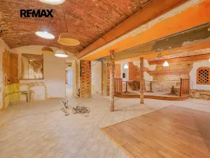 Pronájem obchodního prostoru, Plzeň, Bedřicha Smetany, 312 m2