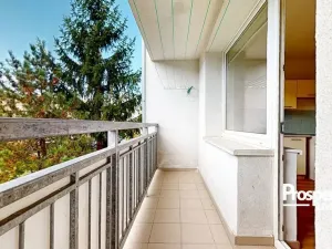Prodej bytu 1+1, Teplice - Trnovany, Palackého, 36 m2