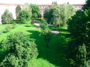 Pronájem bytu 2+1, Uherské Hradiště, Průmyslová, 56 m2
