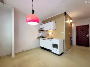 Prodej bytu 1+1, Brno, Ečerova, 40 m2