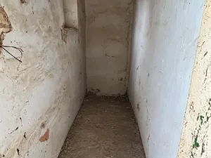Prodej rodinného domu, Kostelní Hlavno, 300 m2