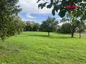 Prodej rodinného domu, Kostelní Hlavno, 300 m2