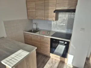 Pronájem bytu 1+1, Cvikov, 43 m2