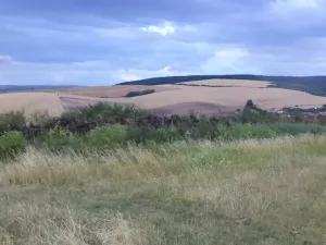 Dražba pole, Morkůvky, 4541 m2