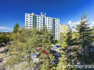 Prodej bytu 1+kk, Praha - Chodov, Valentova, 30 m2