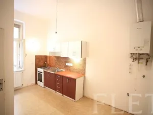 Pronájem bytu 1+1, Praha - Žižkov, Chelčického, 50 m2