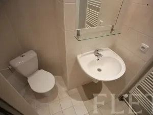 Pronájem bytu 1+1, Praha - Žižkov, Chelčického, 50 m2