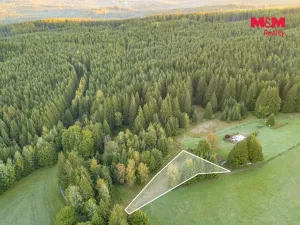 Prodej pozemku, Lesná - Stará Knížecí Huť, 1204 m2