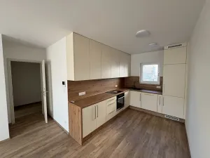 Pronájem bytu 2+kk, Nepomuk, Višňovka, 61 m2