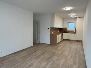 Pronájem bytu 2+kk, Nepomuk, Višňovka, 61 m2