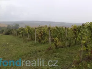 Prodej pozemku, Morkůvky, 4541 m2