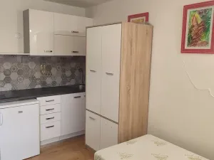 Pronájem bytu 1+kk, Staré Město, Jamnická, 24 m2