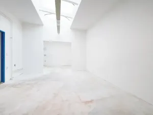 Prodej vícegeneračního domu, Brno, Malínská, 179 m2