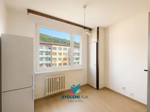 Prodej bytu 2+1, Krupka, Karla Čapka, 62 m2