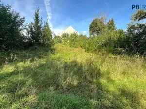Prodej pozemku pro bydlení, Ledce, 9180 m2
