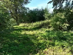 Prodej pozemku pro bydlení, Ledce, 9180 m2