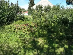 Prodej pozemku pro bydlení, Ledce, 9180 m2