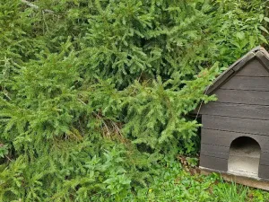 Prodej chaty, Valšov, 82 m2