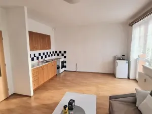 Pronájem bytu 1+kk, Jihlava, 30 m2