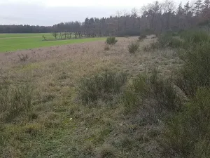 Prodej louky, Stará Huť, 3629 m2