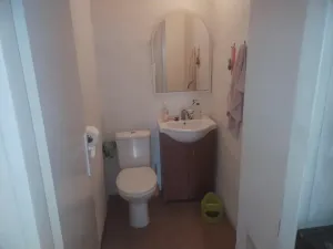 Prodej rodinného domu, Blížkovice, 100 m2